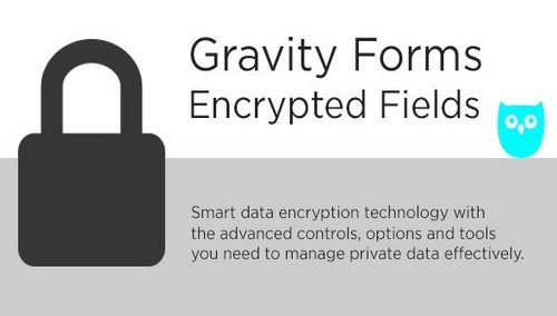 gravity-forms-encrypted-fields