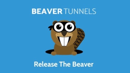 Beaver Tunnels Addon