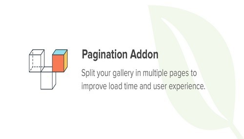 Envira Gallery - Pagination Addon