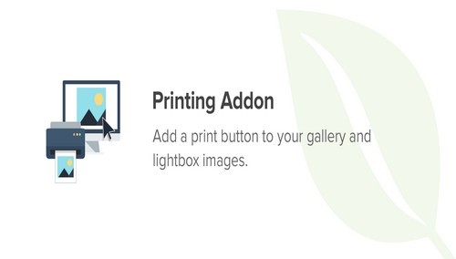 Envira Gallery - Printing Addon