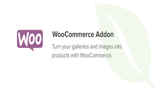 Envira Gallery - WooCommerce Addon