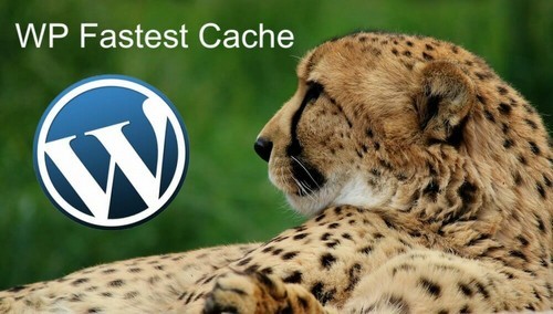 WP Fastest Cache Premium