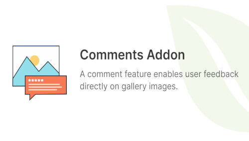Envira Gallery - Comments Addon